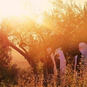 Celebración de la Asamblea anual de la CONFER en Ibiza y Formentera