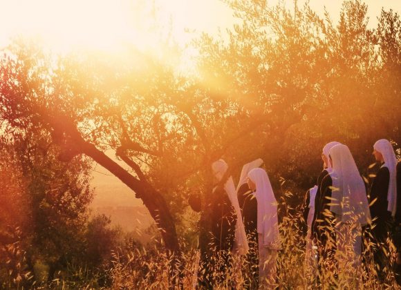 Celebración de la Asamblea anual de la CONFER en Ibiza y Formentera