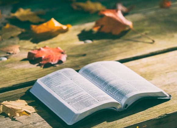 SE POSPONE LA FORMACIÓN PARA EL LECTORADO