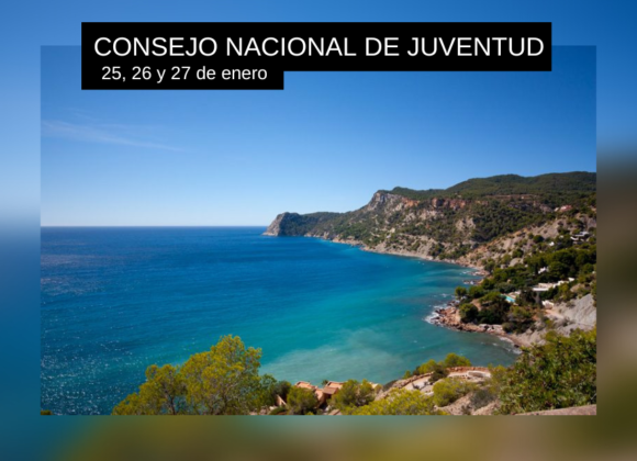 IBIZA ACOGE AL CONSEJO NACIONAL DE JUVENTUD