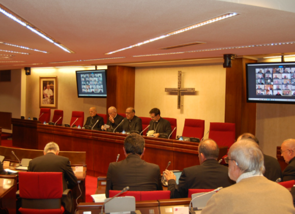 NOTA Y RUEDA DE PRENSA FINAL DE LA ASAMBLEA PLENARIA EXTRAORDINARIA