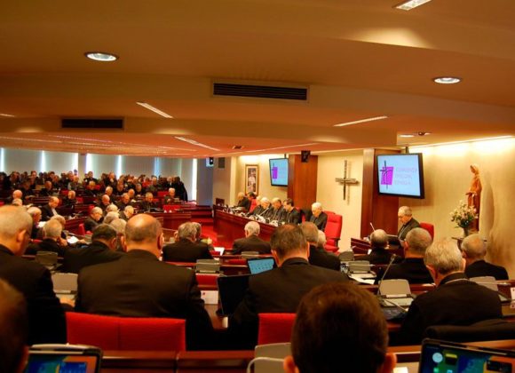 «ENVIADOS A ACOGER, SANAR Y RECONSTRUIR». MENSAJE DE LA ASAMBLEA PLENARIA AL PUEBLO DE DIOS «ENVIADOS A ACOGER, SANAR Y RECONSTRUIR». MENSAJE DE LA ASAMBLEA PLENARIA AL PUEBLO DE DIOS