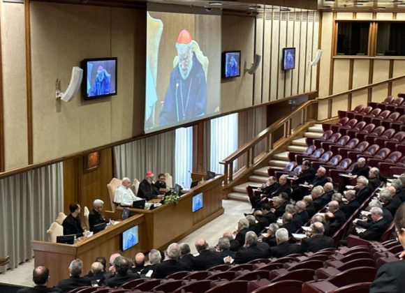 LOS OBISPOS ESPAÑOLES SE REÚNEN CON EL PAPA FRANCISCO Y EL DICASTERIO PARA EL CLERO LOS OBISPOS ESPAÑOLES SE REÚNEN CON EL PAPA FRANCISCO Y EL DICASTERIO PARA EL CLERO
