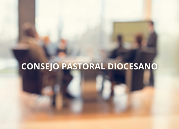REUNIÓN DEL CONSEJO PASTORAL DIOCESANO