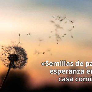 MENSAJE POR EL DÍA MUNDIAL DE ORACIÓN POR EL CUIDADO DE LA CREACIÓN