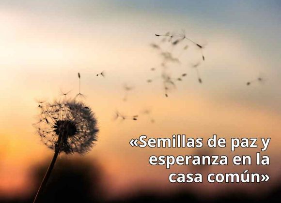 MENSAJE POR EL DÍA MUNDIAL DE ORACIÓN POR EL CUIDADO DE LA CREACIÓN