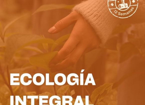 EN #LAIGLESIAEN12SEMANAS: LA ECOLOGÍA INTEGRAL, UNA MIRADA CREYENTE SOBRE LA REALIDAD EN #LAIGLESIAEN12SEMANAS: LA ECOLOGÍA INTEGRAL, UNA MIRADA CREYENTE SOBRE LA REALIDAD